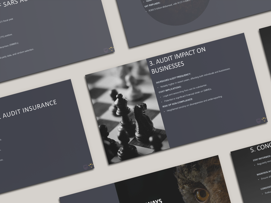 An Overview of SARS Audit Activities